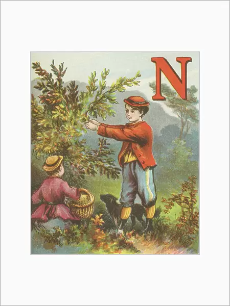 N: N stands for the Nuts; and when lessons are done, Two boys can go nutting much better than one. 1870 (illustration)