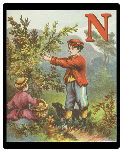 N: N stands for the Nuts; and when lessons are done, Two boys can go nutting much better than one. 1870 (illustration)