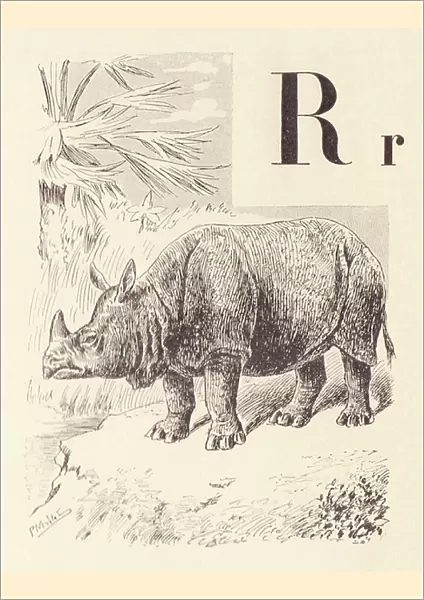 R for Rhinoceros, 1901 (illustration)