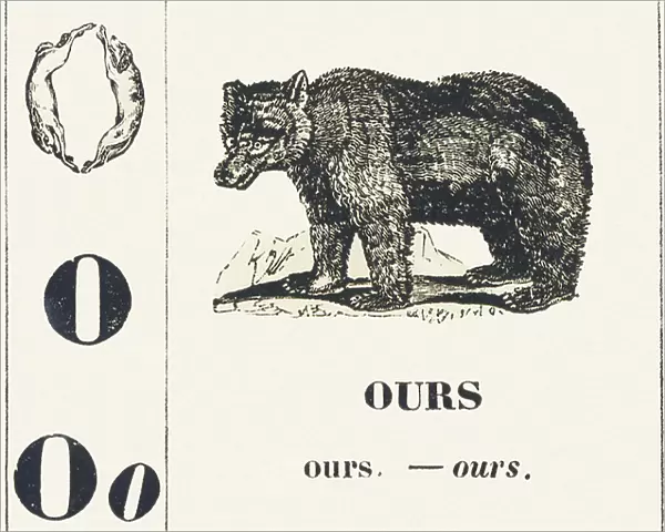 O for Bear, 1850 (engraving)
