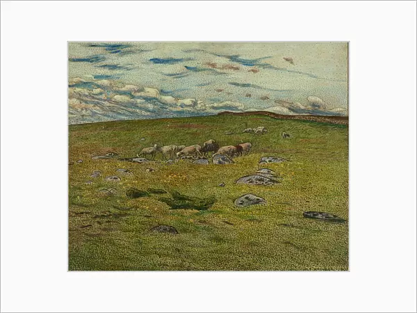 Grazing Sheep, 1901 (oil and ink on panel)