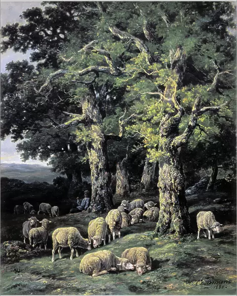 Sheep in the woods, 1880 (oil on canvas)