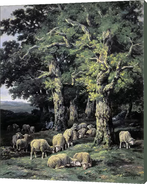 Sheep in the woods, 1880 (oil on canvas)