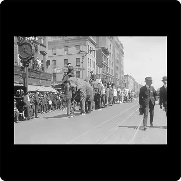 Circus Parade, New York City, New York, USA, Bain News Service, April 1920 (b / w photo)