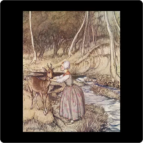 She took off her golden garter and put it round the Roe Buck's neck. Illustration by Arthur Rackham from Grimm's Fairy Tale, Little Brother and Little Sister, published late 19th century