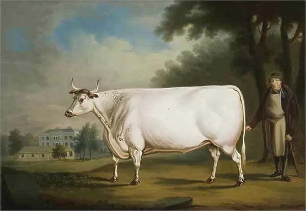 The White Ox of Nannau, 1824 (oil on canvas)
