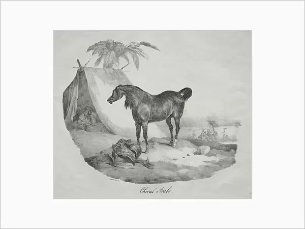 Arabian Horse, (lithograph)