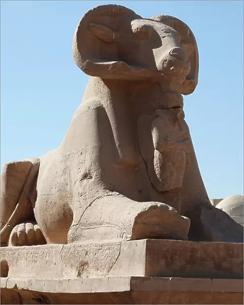 Sphinx, Karnak temple (sculpture)