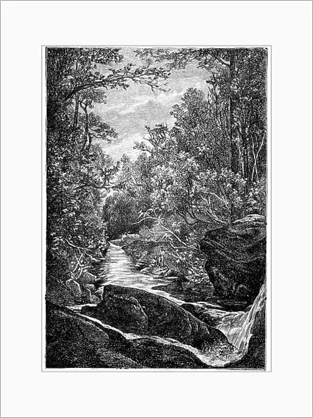 Mountain stream with rocks and waterfall in the middle of a forest. Drawing by Leon Benett grave by Meaulle for the Hetzel edition of the book by Elysee (Elisee) Reclus (1830-1905) ' Histoire d'un ruisseau' late 19th century