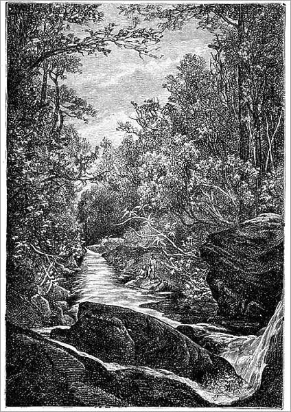 Mountain stream with rocks and waterfall in the middle of a forest. Drawing by Leon Benett grave by Meaulle for the Hetzel edition of the book by Elysee (Elisee) Reclus (1830-1905) ' Histoire d'un ruisseau' late 19th century