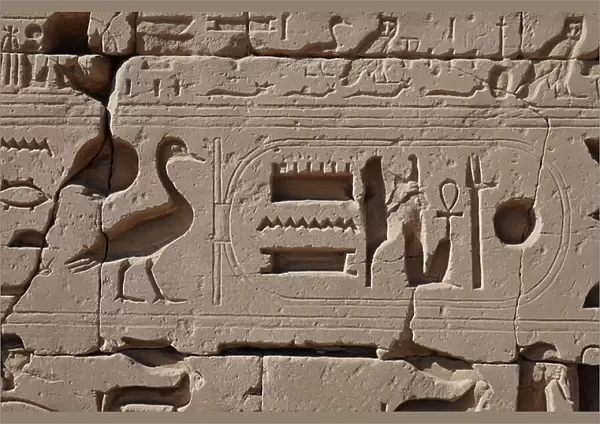 The God AMON, water and life (relief)