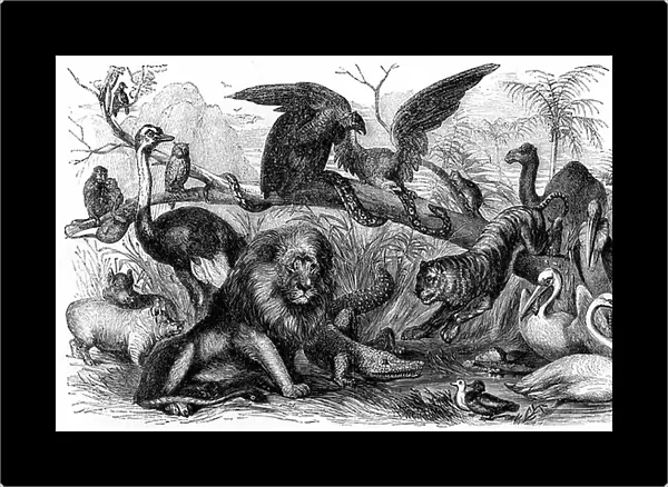 Animals forbidden to be eaten by Israelites -Bible