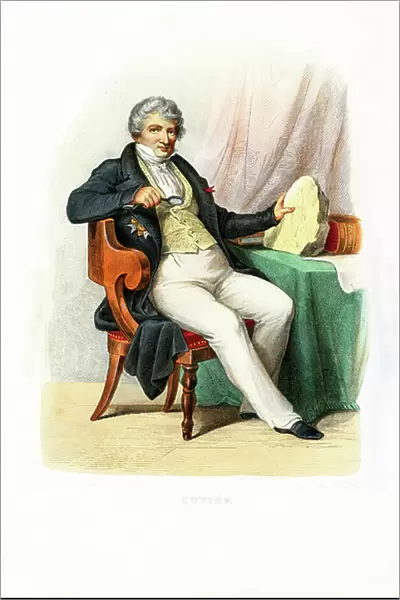 Cuvier. 3783135 Cuvier; (add.info.: Jean Leopold Nicolas Frederic Cuvier