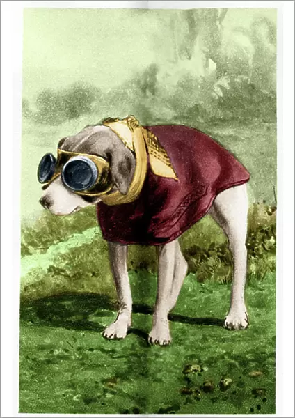 Dog dressed for a car ride, early 20th century