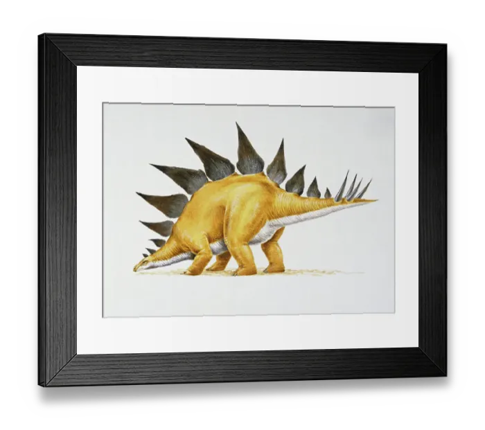 Framed Print : Late Jurassic Stegosaurus Print Framed Print : Late Jurassic Stegosaurus Print