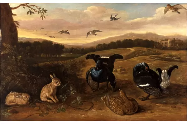 Black Game, Rabbits, and Swallows in a Park Black Game, Rabbits and Swallows in the
