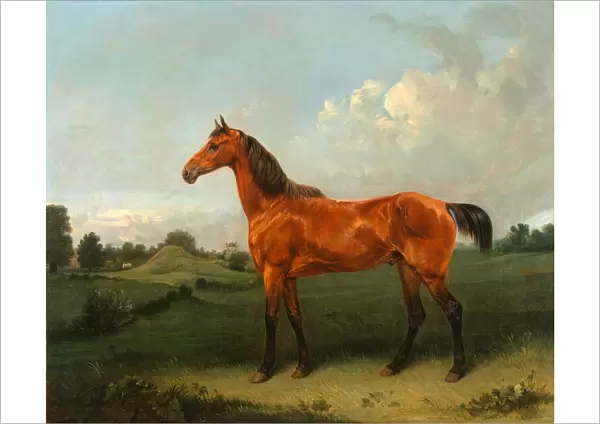 A Bay Horse in a Field Bay Hunter in a Landscape Signed, brown paint, lower right