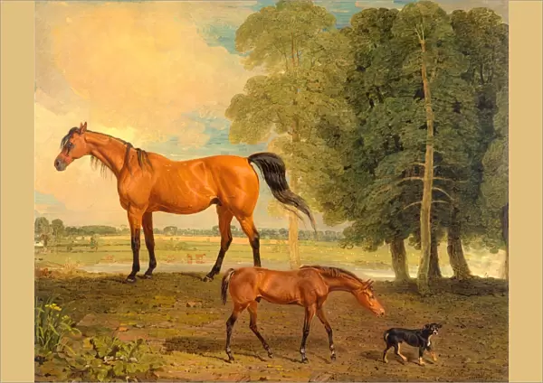 Broodmare with Foal, and a Terrier Broodmare with Foal and Terrier Near Newmarket
