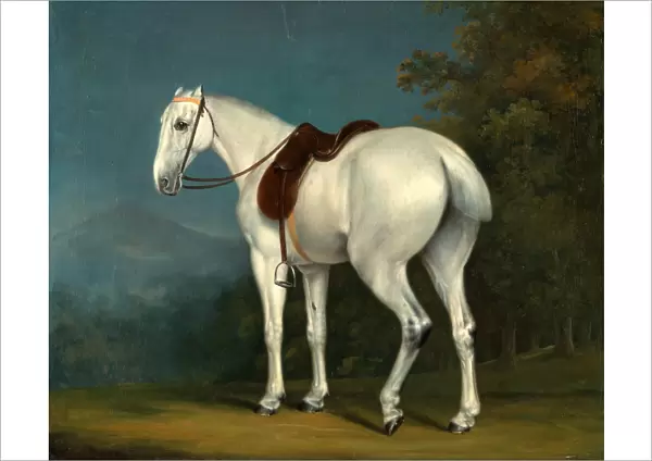 A Ladys Grey Hunter, Jacques-Laurent Agasse, 1767-1849, Swiss