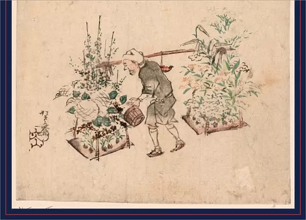 Hanauri, Flower vendor. [between ca. 1840 and 1866], 1 print : woodcut, color; 19