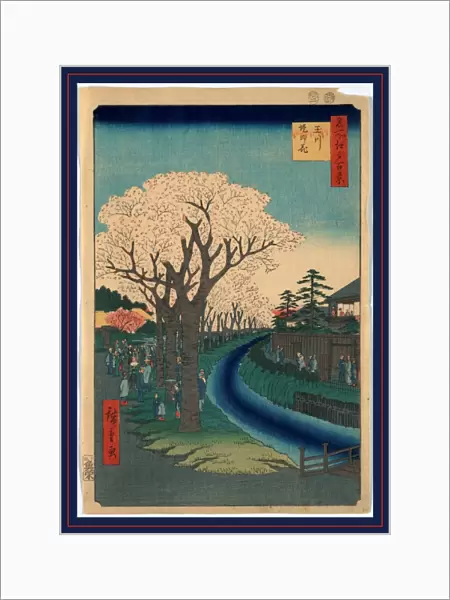 1797-1858 1856. 24. 4 36. 3 Ando Blossoms Edo Hiroshige
