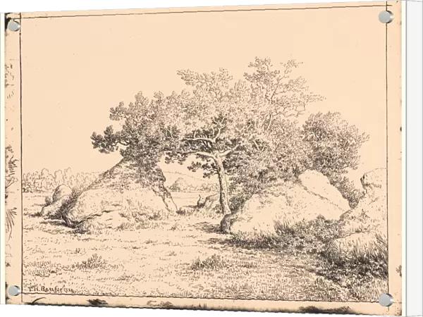Theodore Rousseau (French, 1812 - 1867). Le Cerisier de la Plante a Biau, 19th century