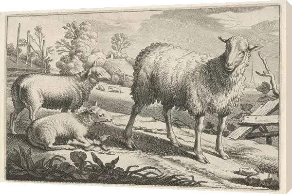 Pasture with a sheep and two lambs, Reinier van Persijn, Jacob Gerritsz Cuyp, Nicolaes Visscher