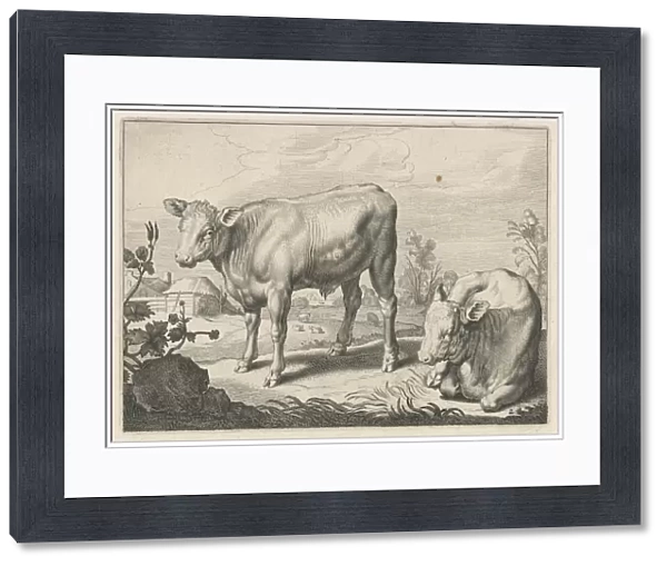 Pasture with two bulls, Reinier van Persijn, Jacob Gerritsz Cuyp, Nicolaes Visscher (I)