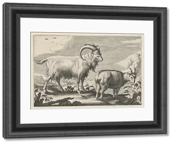 Hilly landscape with two goats, print maker: Reinier van Persijn, Jacob Gerritsz Cuyp