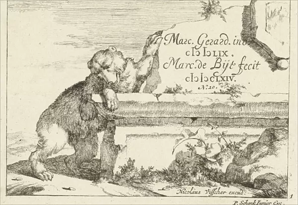 Bear near stone wall, Marcus de Bye, Pieter Schenk (II), Nicolaes Visscher (I), 1664