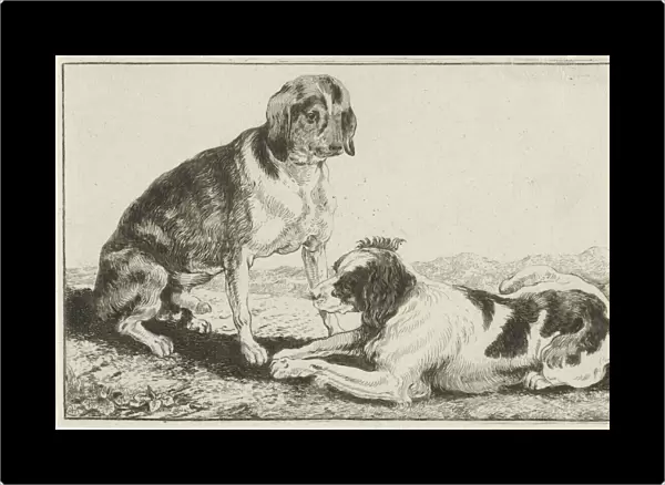 Two resting dogs, Jan van den Hecke (I), 1656