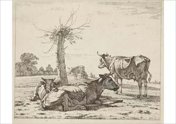 Cows at a pollard willow, Wouter Johannes van Troostwijk, 1810