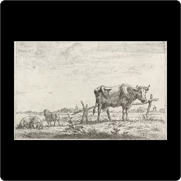 Pasture with cows and sheep, print maker: Johannes Janson, 1761 - 1784