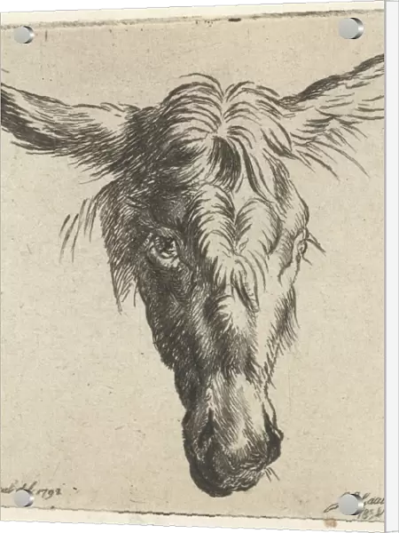 Head of a donkey, Jacobus Cornelis Gaal, Nicolaes Pietersz. Berchem, 1854