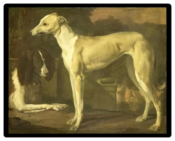 Portrait of a Greyhound and Spaniel, Jan Weenix, 1665 - 1680