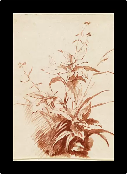 Jean-Baptiste HaOEet, I, Flowering Plant with Grass, French, 1745 - 1811, mid 1760s