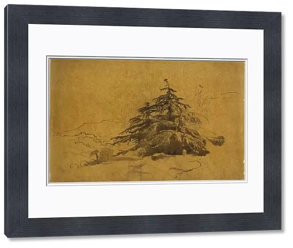 John Varley, Study of Trees in a Landscape, British, 1778 - 1842, pen and brown ink