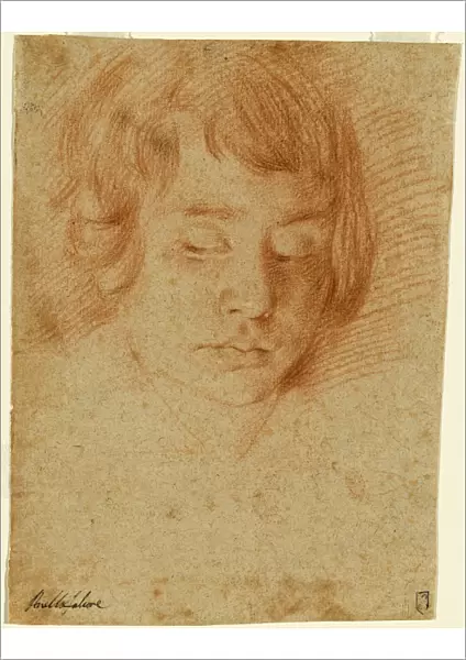 Aniello Falcone (Italian, 1607 - 1656), Head of a Boy, 1635-1645, red chalk on oatmeal