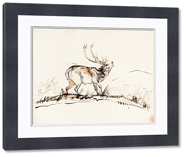 Sir Edwin Landseer (British, 1802 - 1873), A Bellowing Stag, probably 1840-1850, pen