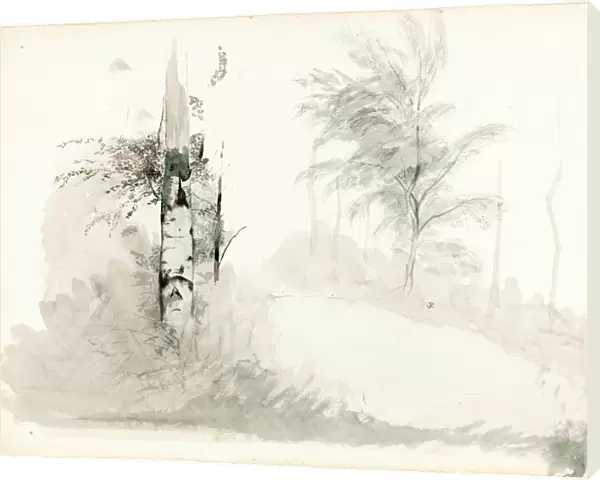 John Ruskin, Tree Study, British, 8 February 1819 - 20 January 1900, pen and black