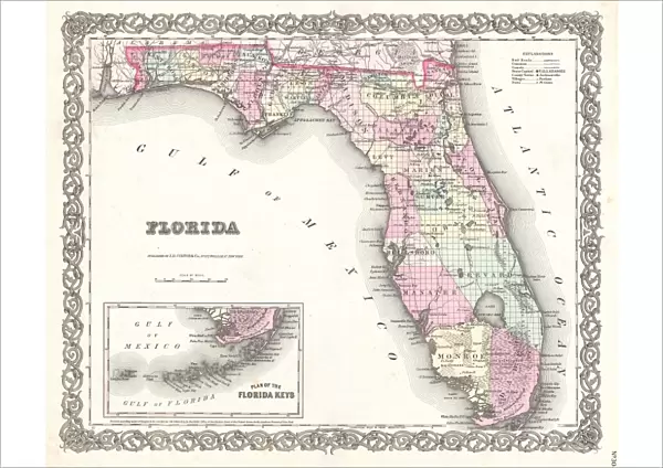1855, Colton Map of Florida, topography, cartography, geography, land, illustration
