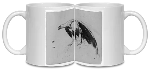 Eagle Sketchbook 1810-20 Ink wash paper 9 x 11 1  /  2