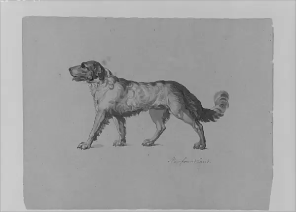 Newfoundland Dog Sketchbook 1810-20 Ink wash
