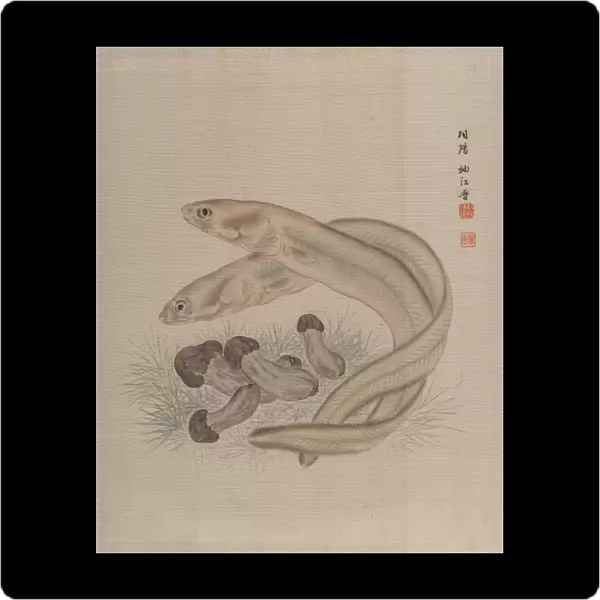 Eels Meiji period 1868-1912 ca 1890-92 Japan