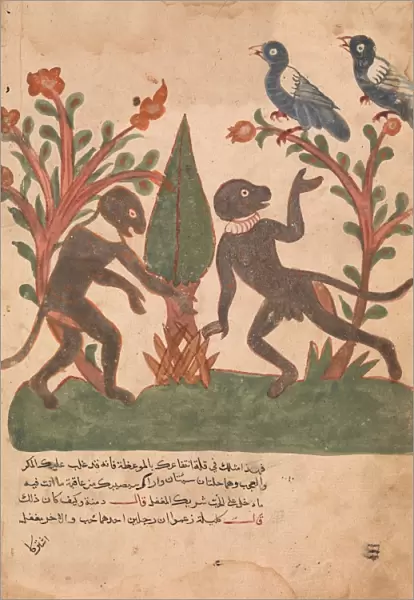 Birds Monkeys Glow Worm Folio Kalila wa Dimna