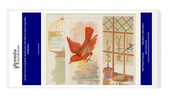 Scarlet Finch Song Birds World series N42 Allen & Ginter Cigarettes