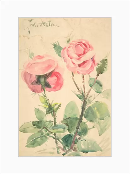 Two Roses ca 1884-1904 Watercolor Sheet 7 x 4 3  /  4