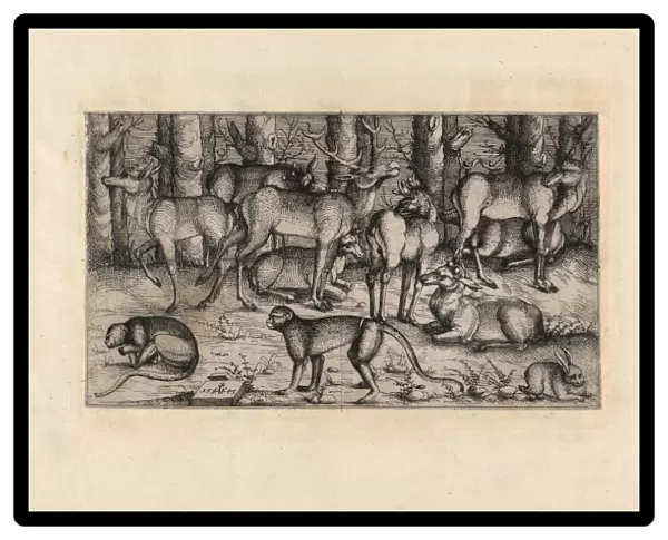 Drawings Prints, Print, Stags Forest, Artist, Augustin Hirschvogel, German, Nuremberg