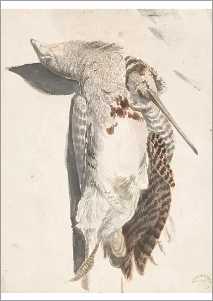 Two Dead Birds Quail Long-Beaked Bird 1685-1755