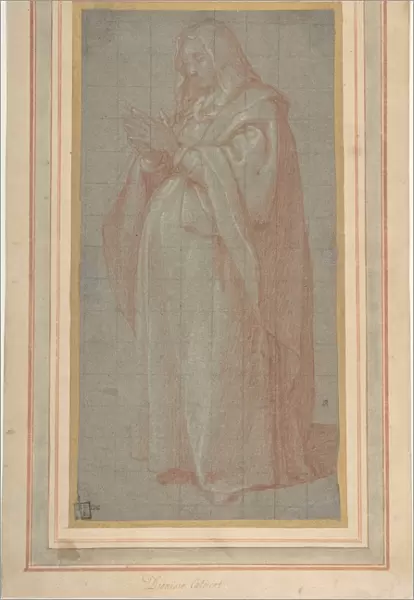 Standing Pregnant Woman Study Pregnant Virgin Mary